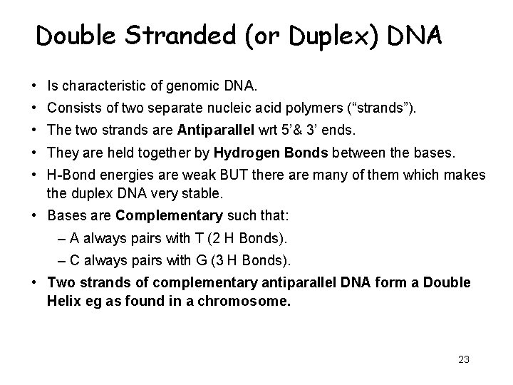 Double Stranded (or Duplex) DNA • Is characteristic of genomic DNA. • Consists of