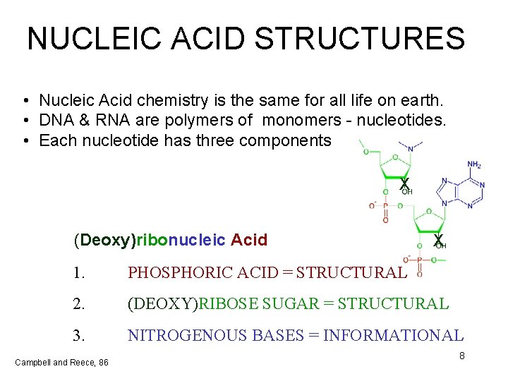 NUCLEIC ACID STRUCTURES • Nucleic Acid chemistry is the same for all life on
