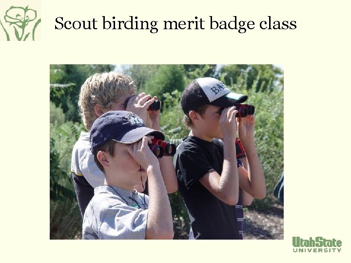 Scout birding merit badge class 