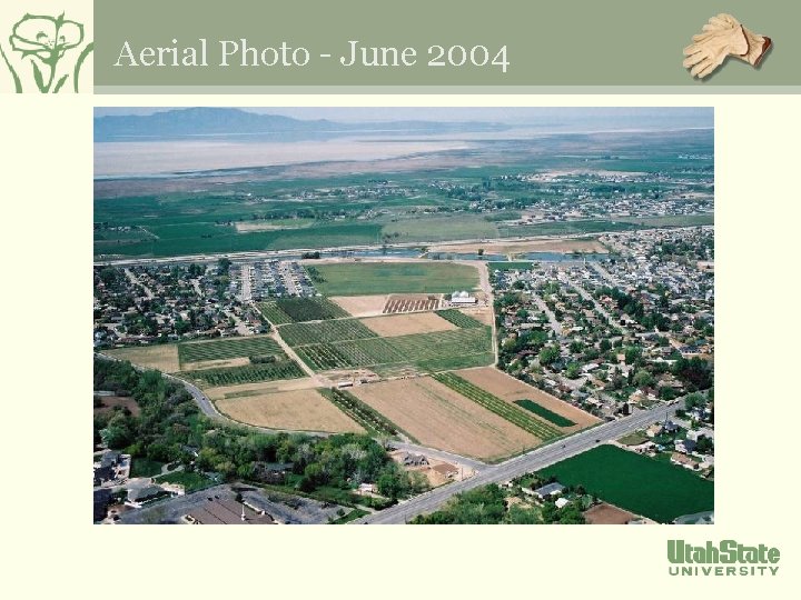 Aerial Photo - June 2004 