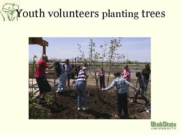 Youth volunteers planting trees 