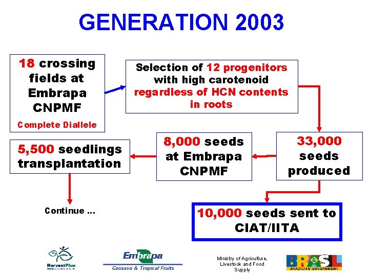 GENERATION 2003 18 crossing fields at Embrapa CNPMF Selection of 12 progenitors with high