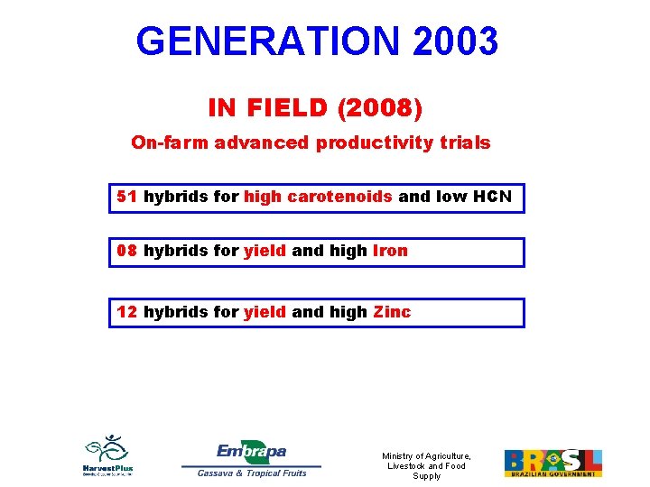 GENERATION 2003 IN FIELD (2008) On-farm advanced productivity trials 51 hybrids for high carotenoids