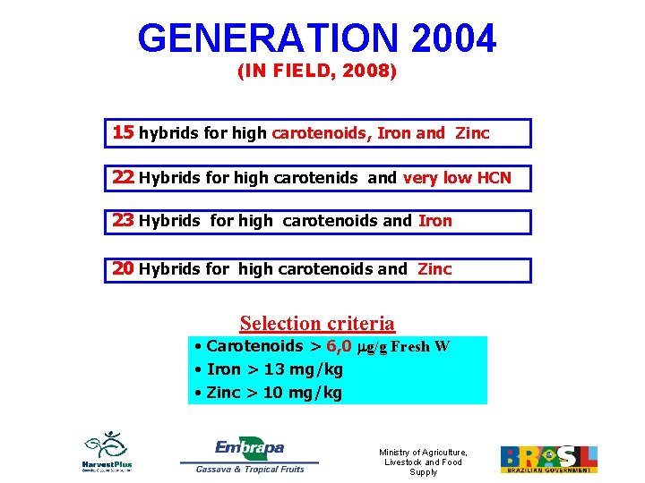 GENERATION 2004 (IN FIELD, 2008) 15 hybrids for high carotenoids, Iron and Zinc 22