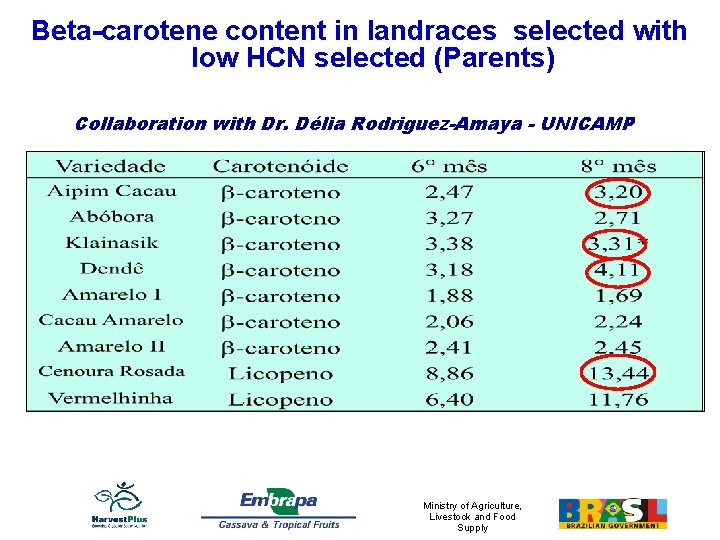 Beta-carotene content in landraces selected with low HCN selected (Parents) Collaboration with Dr. Délia