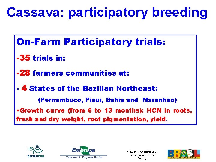 Cassava: participatory breeding On-Farm Participatory trials: -35 trials in: -28 farmers communities at: -