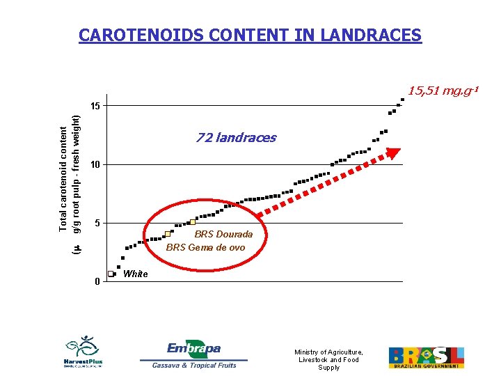 CAROTENOIDS CONTENT IN LANDRACES 15, 51 mg. g-1 72 landraces 10 5 BRS Dourada