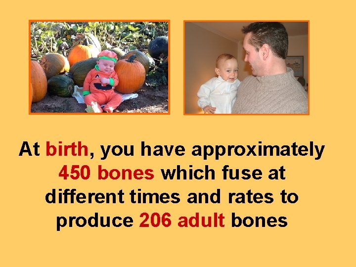 At birth, you have approximately 450 bones which fuse at different times and rates