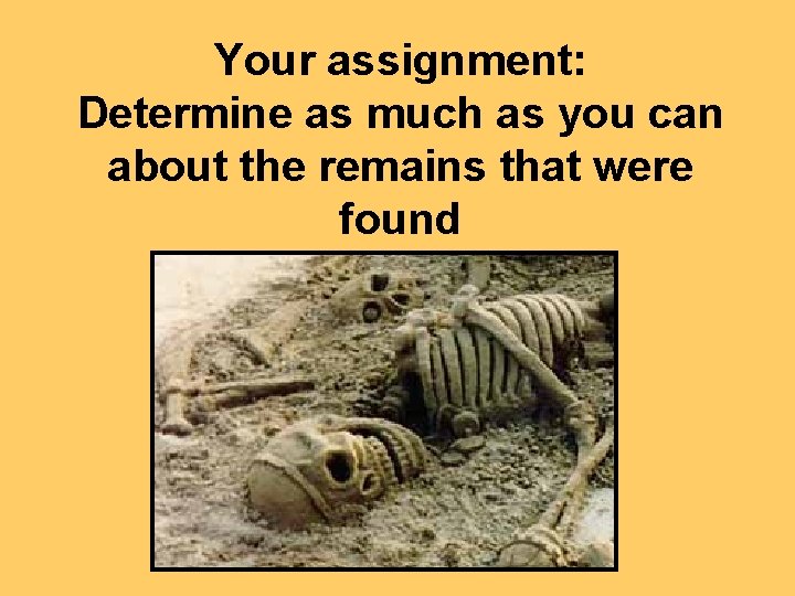 Your assignment: Determine as much as you can about the remains that were found