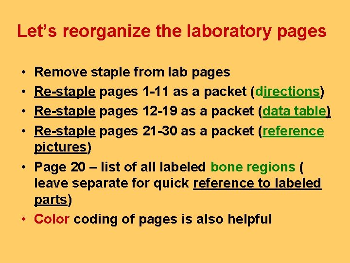 Let’s reorganize the laboratory pages • • Remove staple from lab pages Re-staple pages