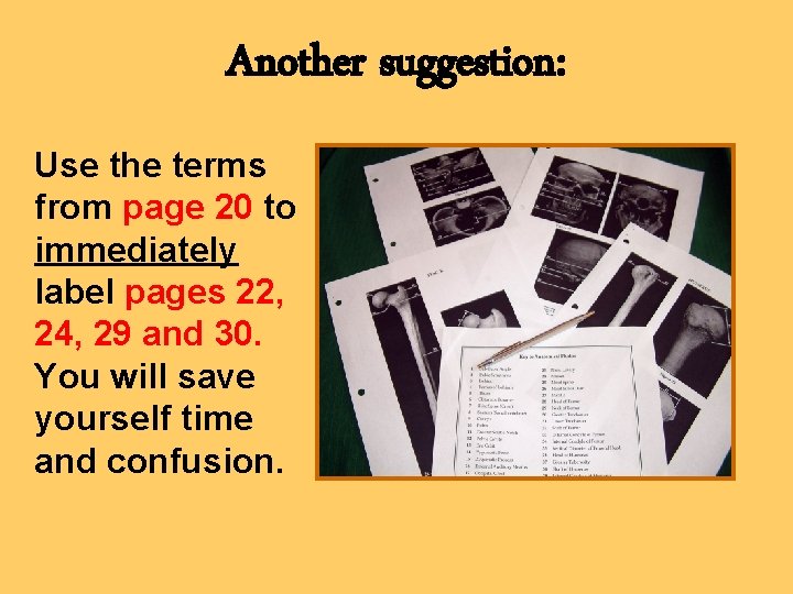Another suggestion: Use the terms from page 20 to immediately label pages 22, 24,