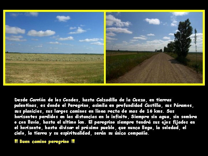 Desde Carrión de los Condes, hasta Calzadilla de la Cueza, en tierras palentinas, es