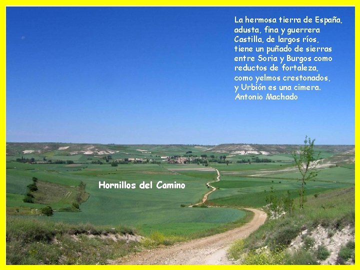 La hermosa tierra de España, adusta, fina y guerrera Castilla, de largos ríos, tiene