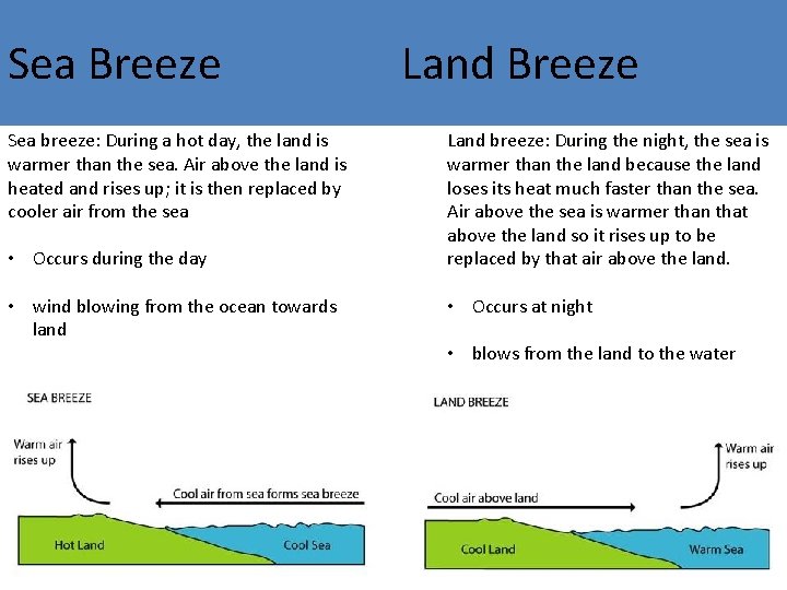 Sea Breeze Sea breeze: During a hot day, the land is warmer than the