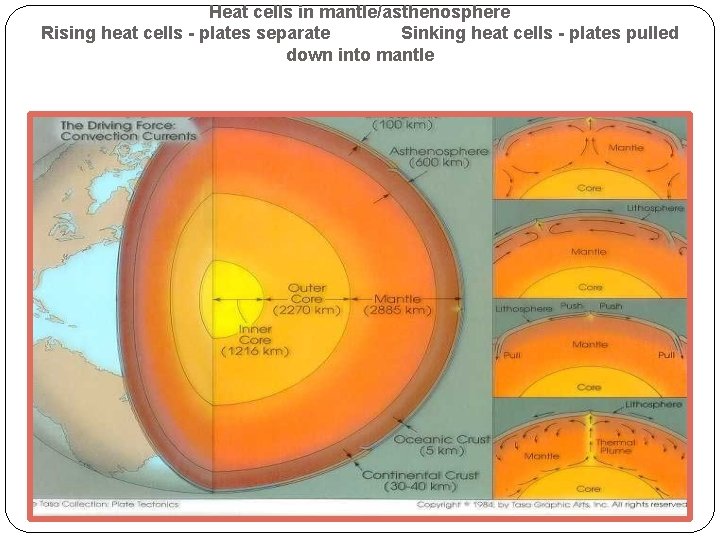 Heat cells in mantle/asthenosphere Rising heat cells - plates separate Sinking heat cells -