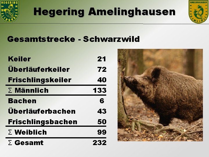 Hegering Amelinghausen Gesamtstrecke - Schwarzwild Keiler Überläuferkeiler Frischlingskeiler Ʃ Männlich 21 72 40 133