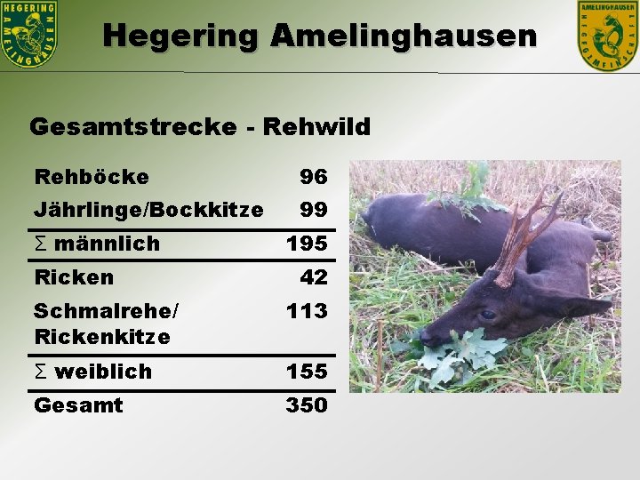 Hegering Amelinghausen Gesamtstrecke - Rehwild Rehböcke 96 Jährlinge/Bockkitze 99 Ʃ männlich Ricken 195 42