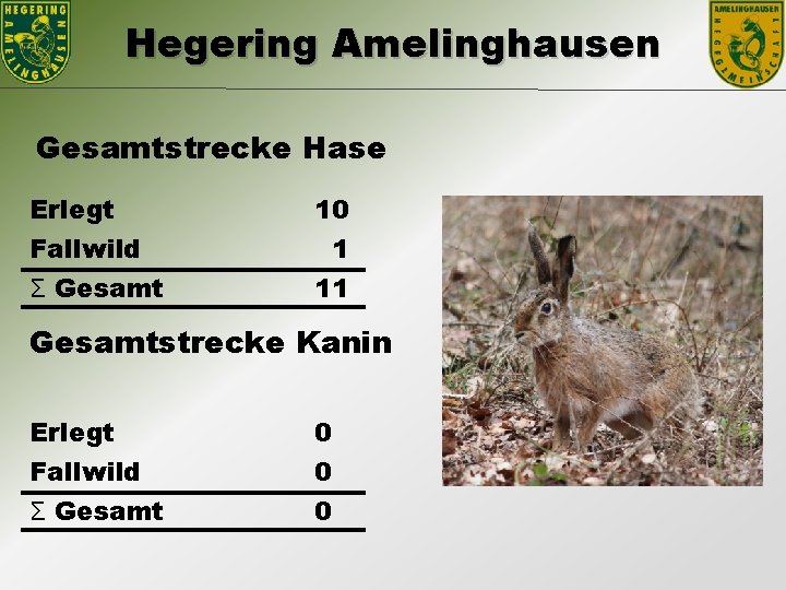 Hegering Amelinghausen Gesamtstrecke Hase Erlegt Fallwild Ʃ Gesamt 10 1 11 Gesamtstrecke Kanin Erlegt