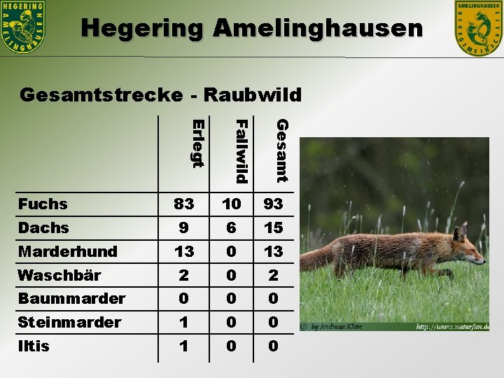 Hegering Amelinghausen Gesamtstrecke - Raubwild Gesamt Fallwild Erlegt Fuchs 83 10 93 Dachs 9