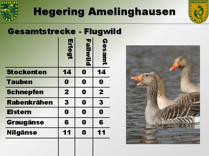 Hegering Amelinghausen Gesamtstrecke - Flugwild Gesamt Fallwild Erlegt Stockenten 14 0 14 Tauben 0