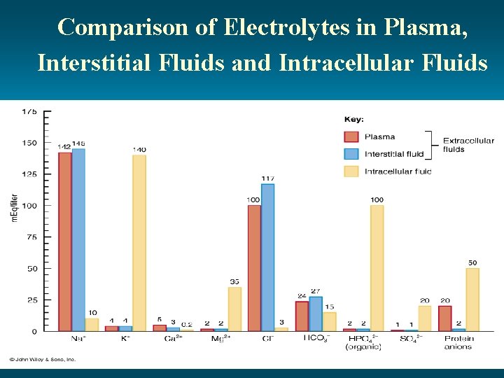 Comparison of Electrolytes in Plasma, Interstitial Fluids and Intracellular Fluids 