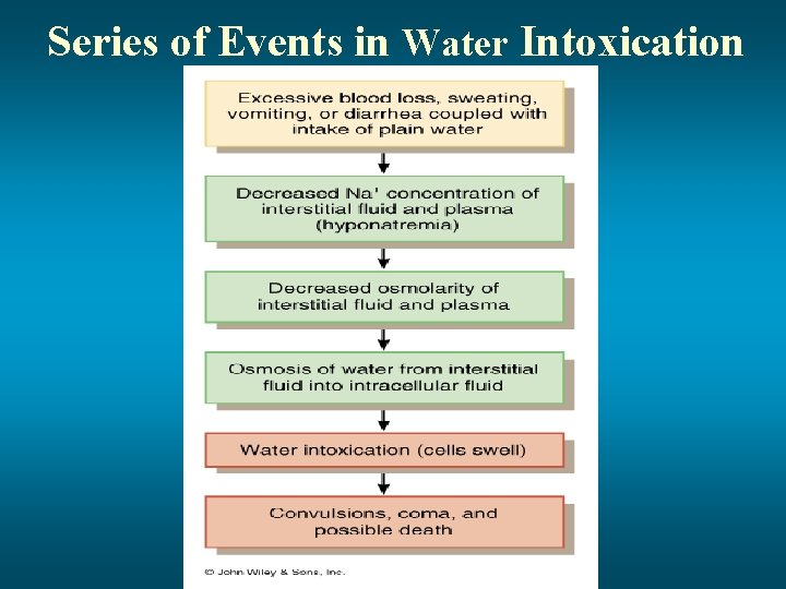 Series of Events in Water Intoxication 