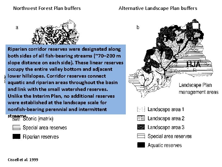 Northwest Forest Plan buffers Alternative Landscape Plan buffers Riparian corridor reserves were designated along