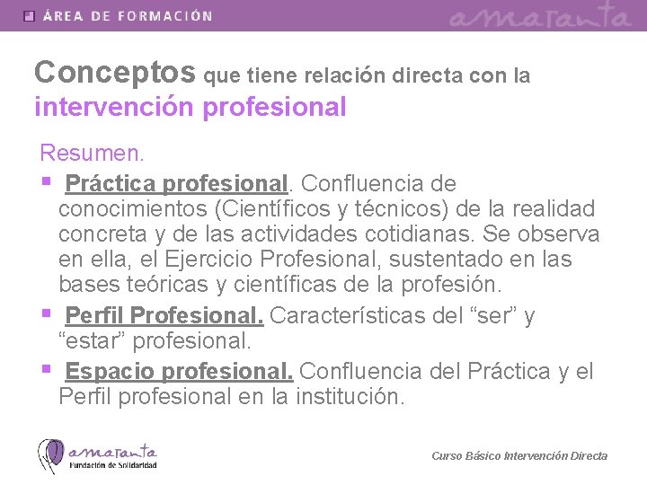 Conceptos que tiene relación directa con la intervención profesional Resumen. § Práctica profesional. Confluencia