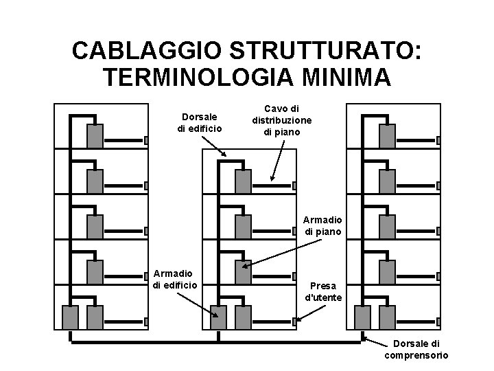 CABLAGGIO STRUTTURATO: TERMINOLOGIA MINIMA Dorsale di edificio Cavo di distribuzione di piano Armadio di