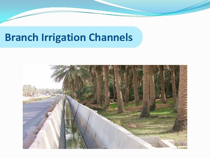 Branch Irrigation Channels 