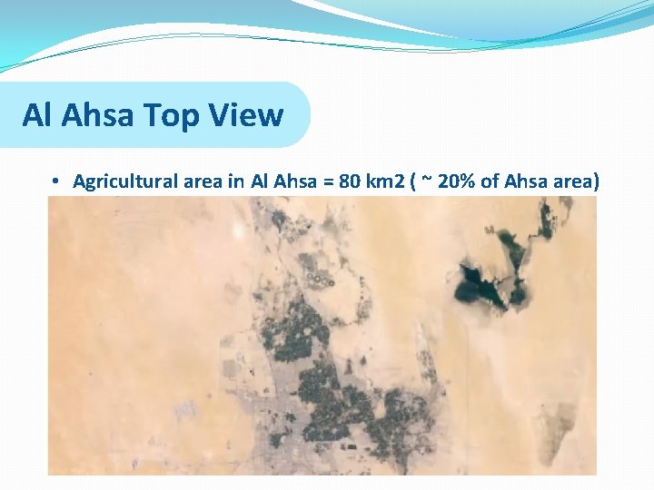 Al Ahsa Top View • Agricultural area in Al Ahsa = 80 km 2