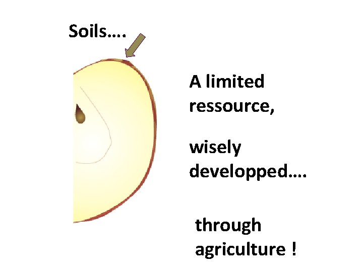Soils…. A limited ressource, wisely developped…. through agriculture ! 
