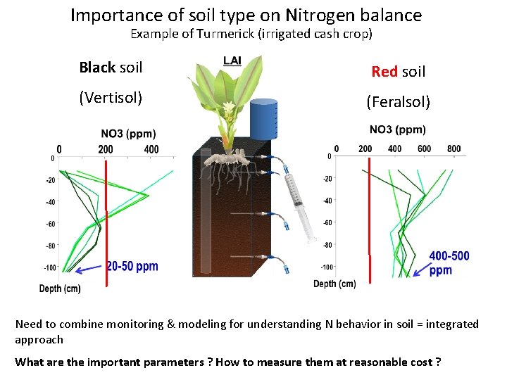 Importance of soil type on Nitrogen balance Example of Turmerick (irrigated cash crop) Black