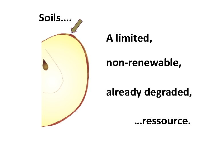 Soils…. A limited, non-renewable, already degraded, …ressource. 