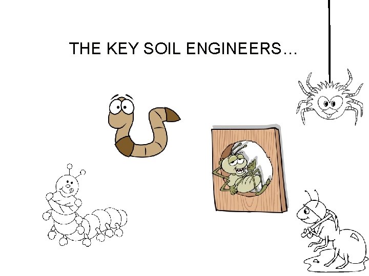 THE KEY SOIL ENGINEERS… 