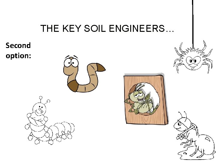 THE KEY SOIL ENGINEERS… Second option: 
