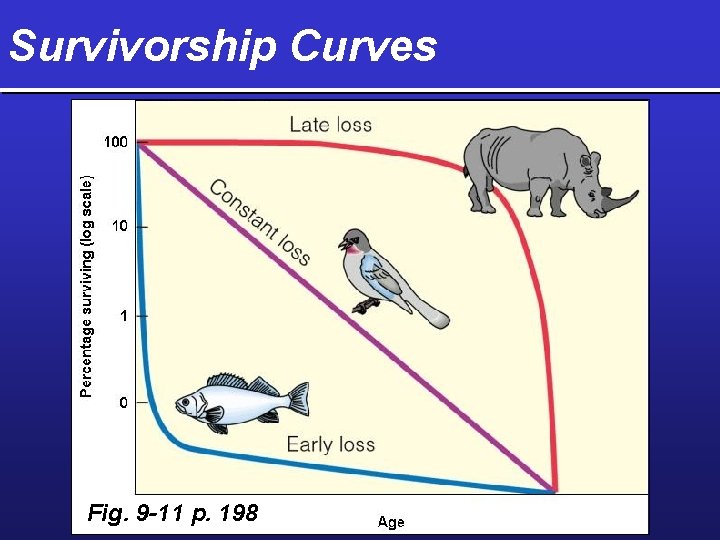 Survivorship Curves Fig. 9 -11 p. 198 