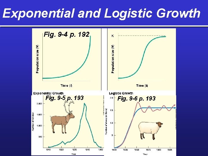 Exponential and Logistic Growth Fig. 9 -4 p. 192 Fig. 9 -5 p. 193