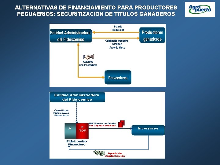 ALTERNATIVAS DE FINANCIAMIENTO PARA PRODUCTORES PECUAERIOS: SECURITIZACION DE TITULOS GANADEROS 