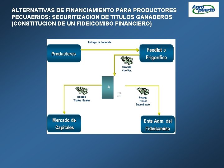 ALTERNATIVAS DE FINANCIAMIENTO PARA PRODUCTORES PECUAERIOS: SECURITIZACION DE TITULOS GANADEROS (CONSTITUCION DE UN FIDEICOMISO