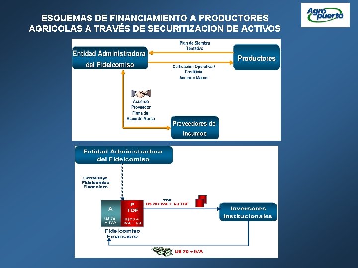 ESQUEMAS DE FINANCIAMIENTO A PRODUCTORES AGRICOLAS A TRAVÉS DE SECURITIZACION DE ACTIVOS 