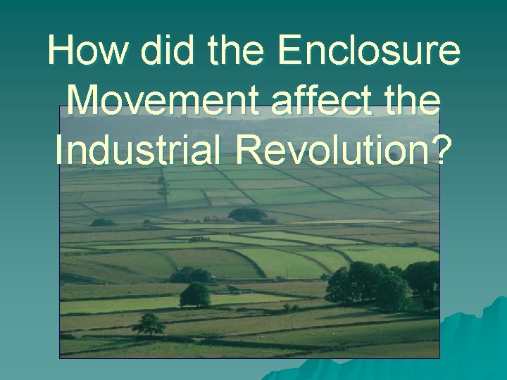 How did the Enclosure Movement affect the Industrial Revolution? 