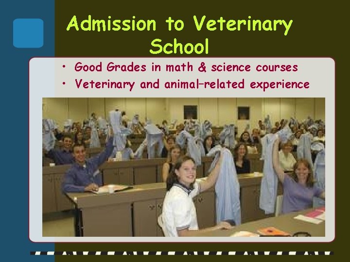 Admission to Veterinary School • Good Grades in math & science courses • Veterinary