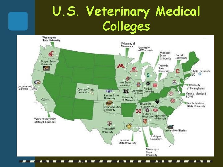 U. S. Veterinary Medical Colleges 