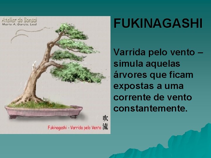FUKINAGASHI Varrida pelo vento – simula aquelas árvores que ficam expostas a uma corrente