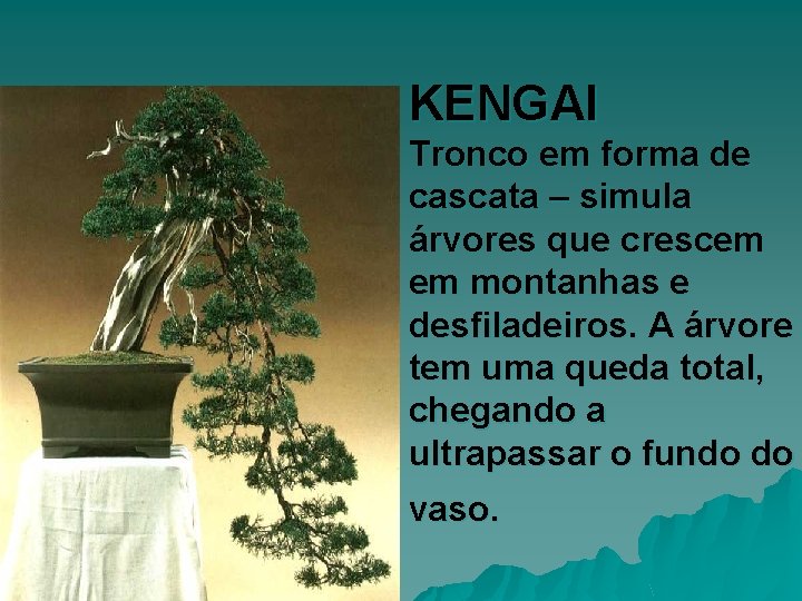 KENGAI Tronco em forma de cascata – simula árvores que crescem em montanhas e