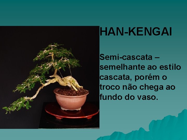 HAN-KENGAI Semi-cascata – semelhante ao estilo cascata, porém o troco não chega ao fundo