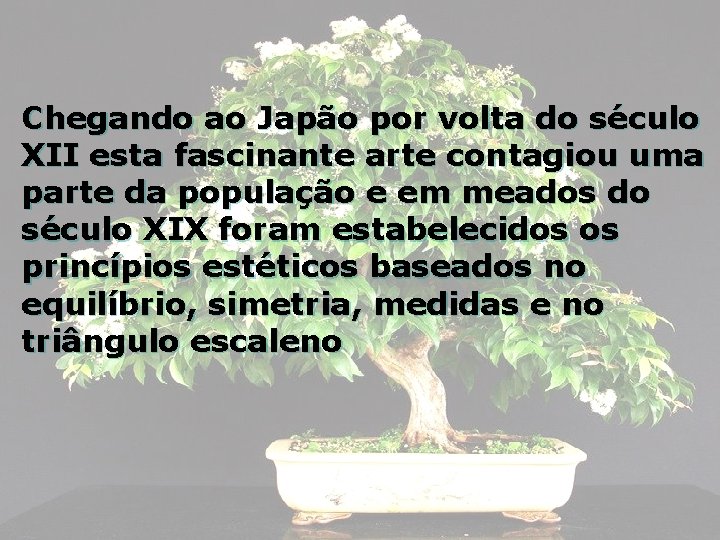 Chegando ao Japão por volta do século XII esta fascinante arte contagiou uma parte