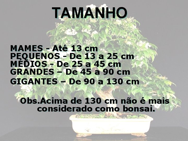 TAMANHO MAMES - Até 13 cm PEQUENOS - De 13 a 25 cm MÉDIOS