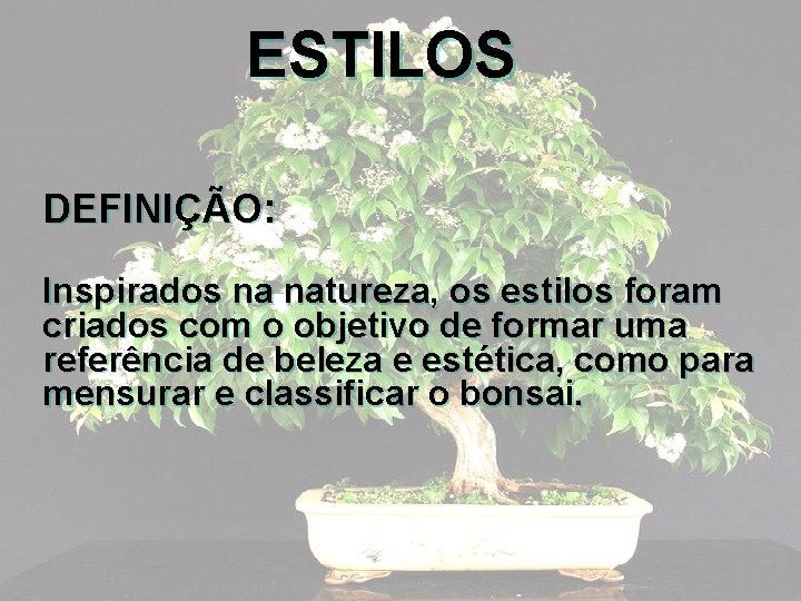 ESTILOS DEFINIÇÃO: Inspirados na natureza, os estilos foram criados com o objetivo de formar